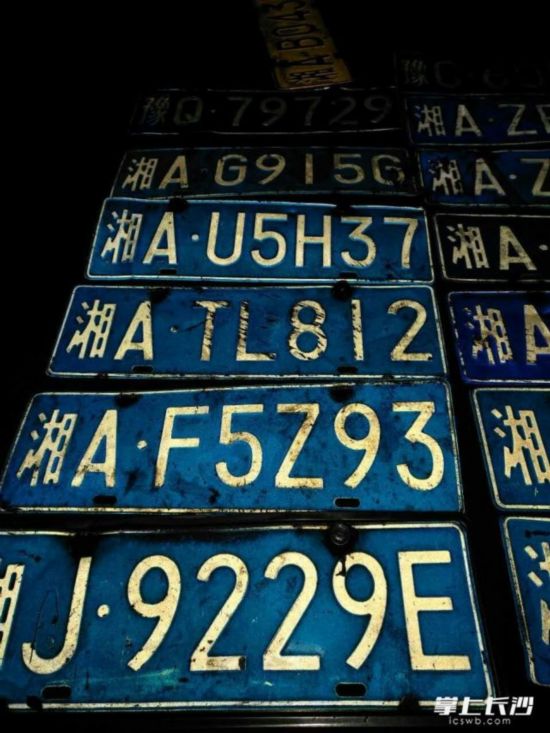 上牌照需要什么照片 6530ebce-17a3-4b37-950e-d16c41906165.jpg