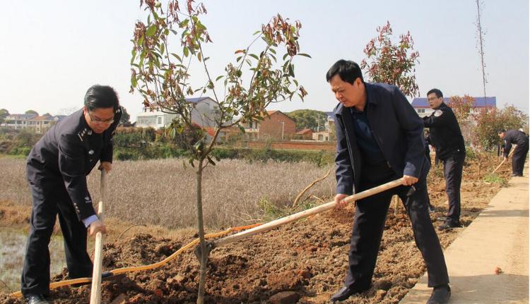 汨羅市公安局開展植樹活動，為夾城村添一抹新