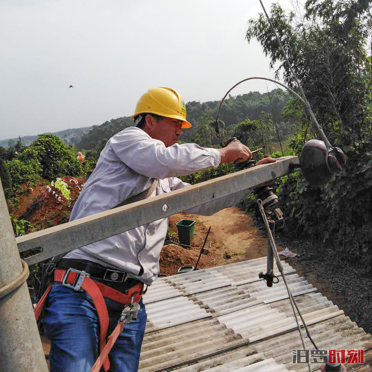 TIM??20190603154039.jpg TIM??20190603154039.jpg