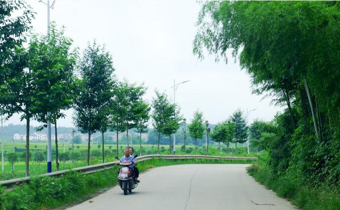 白鷺鄉，花海地！三江山水畫卷的仲夏美景