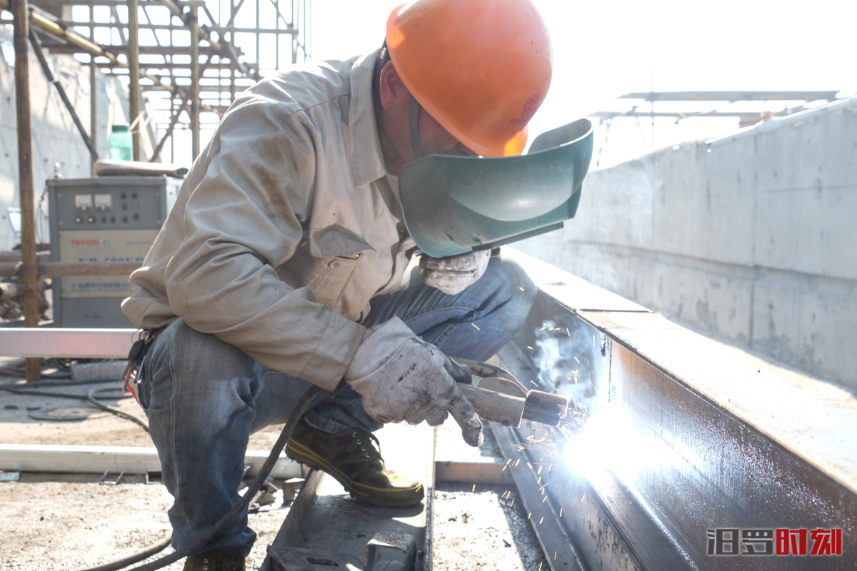 DSCF0205.jpg DSCF0205.jpg