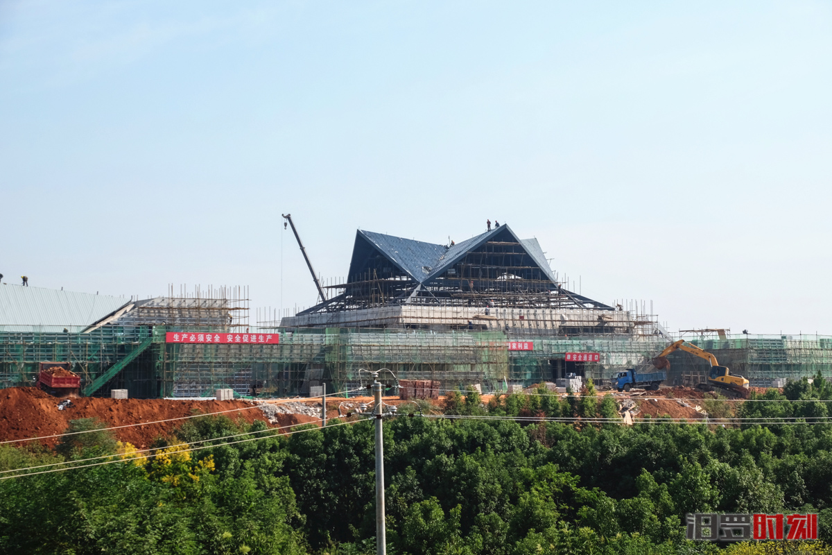 DSCF0240.jpg DSCF0240.jpg