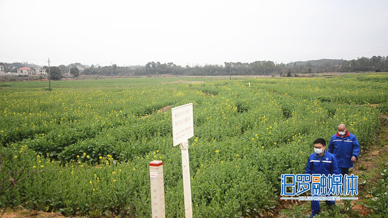 ???????_??.jpg ???????_??.jpg