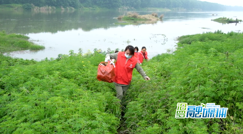 志愿者捡拾了满满一袋垃圾_副本.png 志愿者捡拾了满满一袋垃圾_副本.png
