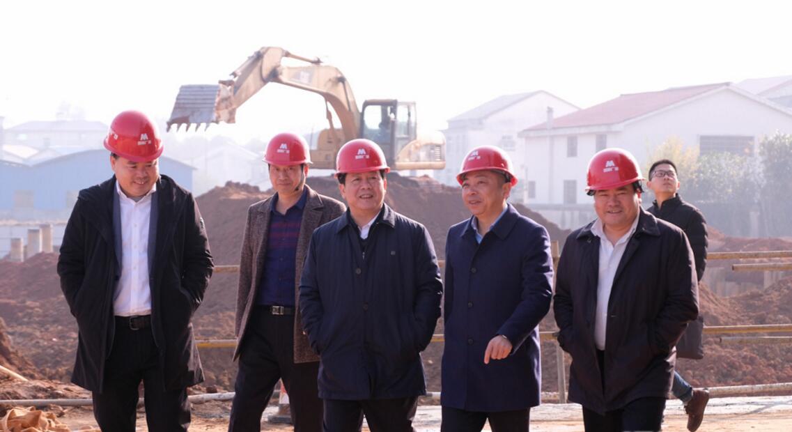 徐湘平(中)在朱平波(右二,陈双全(右一)等陪同下查看汨罗国际广场