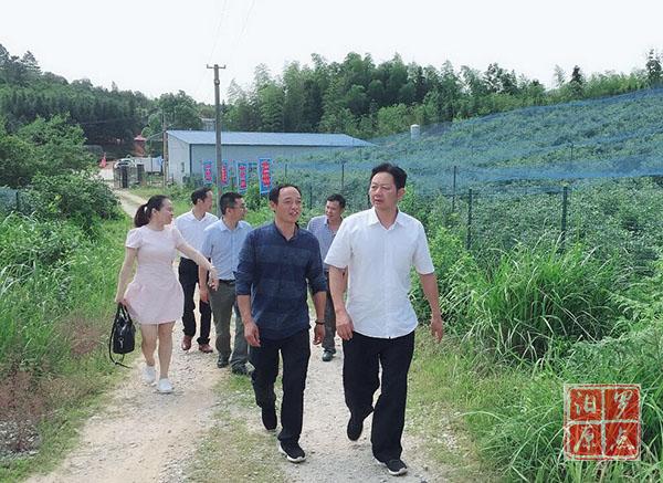 201805161526458848750069863_Watermarking.jpg 3.jpg