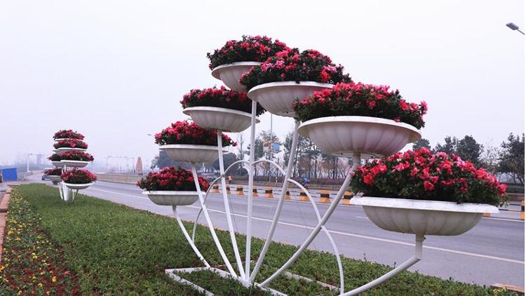 汨罗江大桥入口处,孔雀开屏的摆花造型,体现了对新春的祝福和对未来的