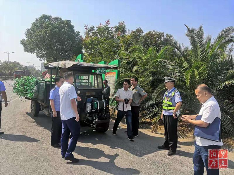 �� ����.jpg