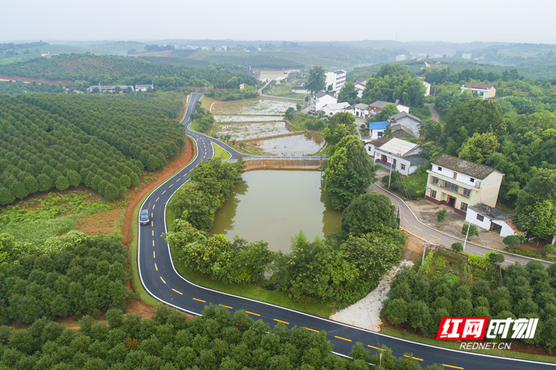 ???????????????_??.jpg ???????????????_??.jpg