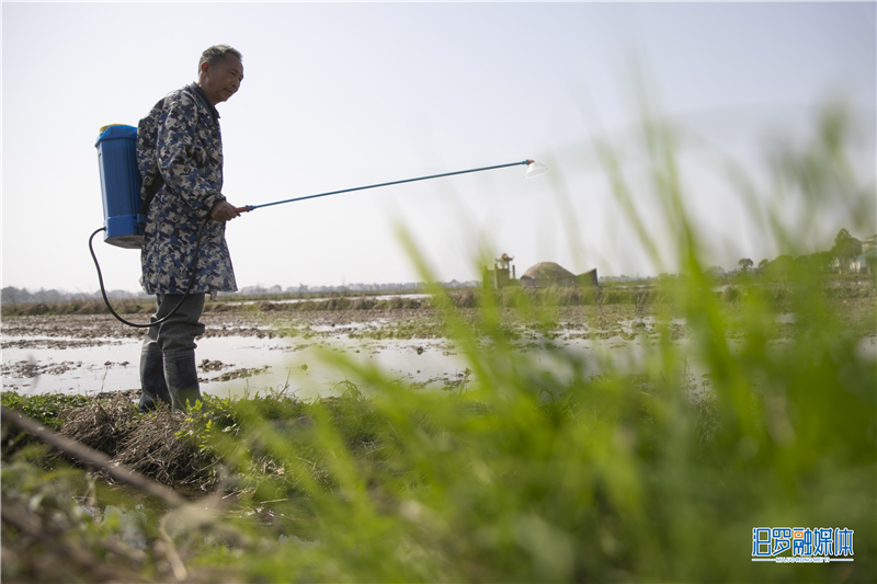 5  �������������ݼ�_����1.jpg