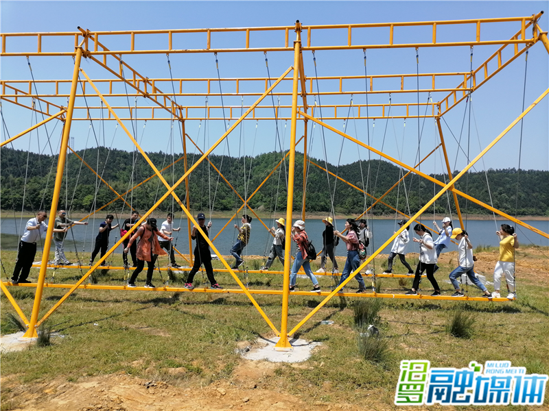 图片3_副本.png