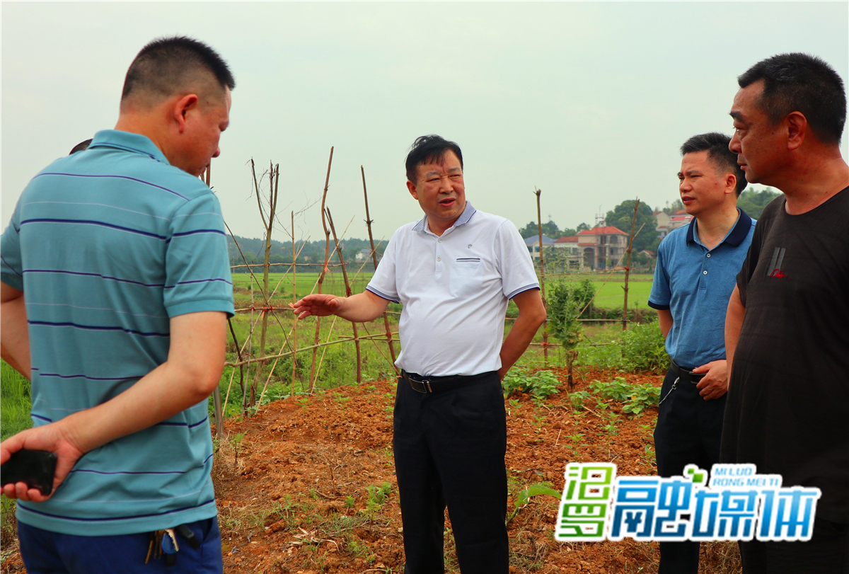 陈培宏带队巡查桃林河(5.27)