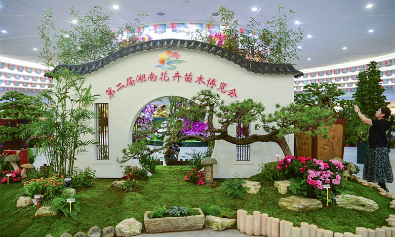 ����������չ��һ�ǡ�������