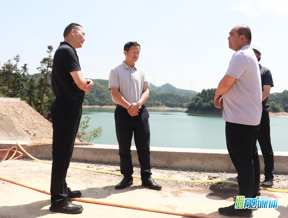 林恒求督导防汛备汛工作