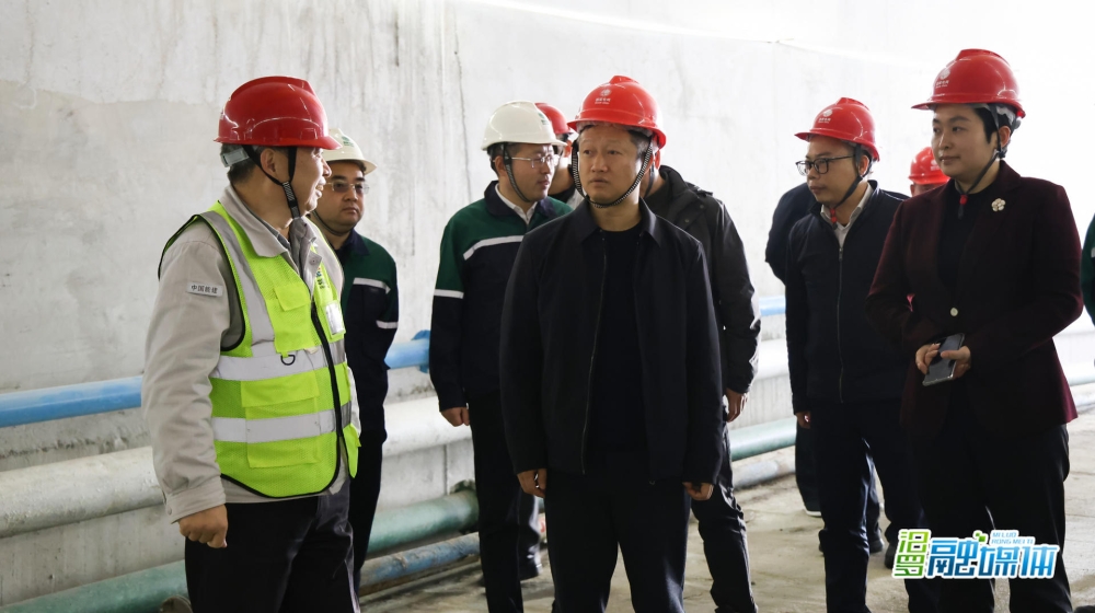 �ֺ�����С����硱��Ŀ