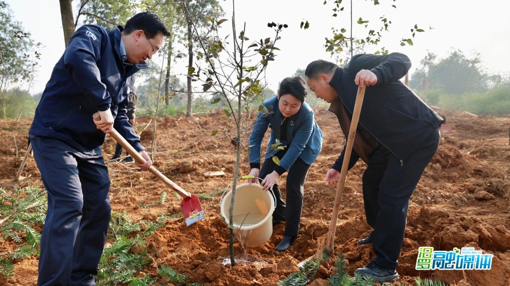 ��Ⱦ�޳������̣� ���޿�չֲ���ڻ