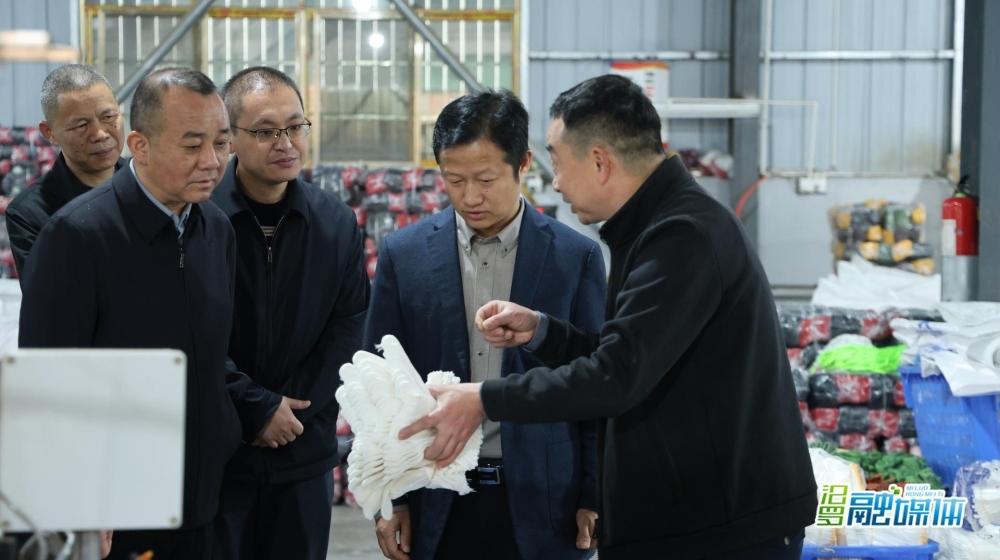 �ֺ��󵽰����������������